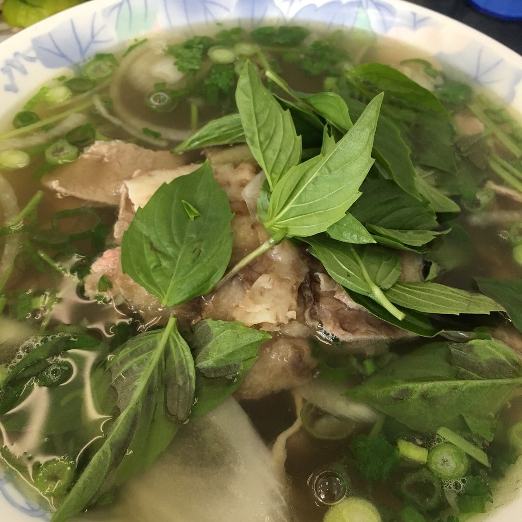 Pho Y1 Noodle House